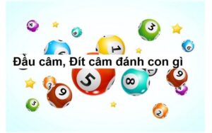 Dựa vào đầu và đít câm để tìm con số may mắn đang được nhiều lô thủ lựa chọn