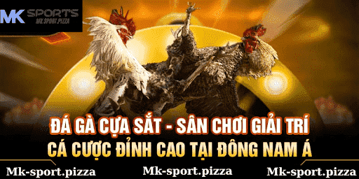 Chiến thuật nâng cao tinh thần cho gà
